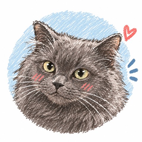 Drawing of Sam, a grey Nebelung cat