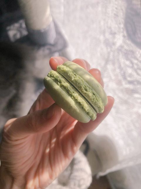 A matcha macaron held in hand